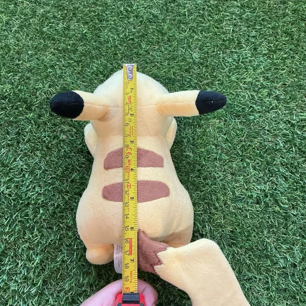 Nintendo fun pokémon